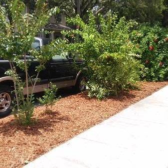 Plant installation project